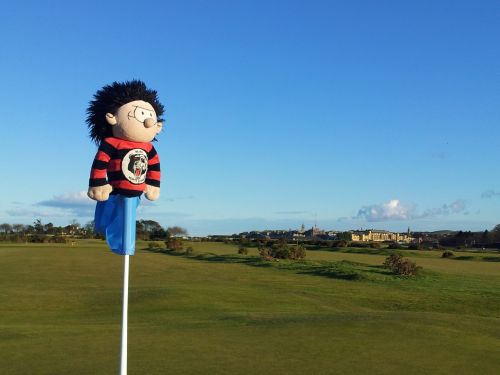 Bears headcover at St. Andrews