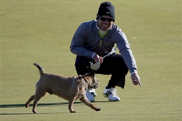 A dog takes Paul Casey's ball at Kingsbarns