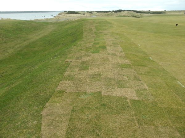 The mound at the back of the 11th green has been sofened.  (Photo - www.golfbytourmiss.com)