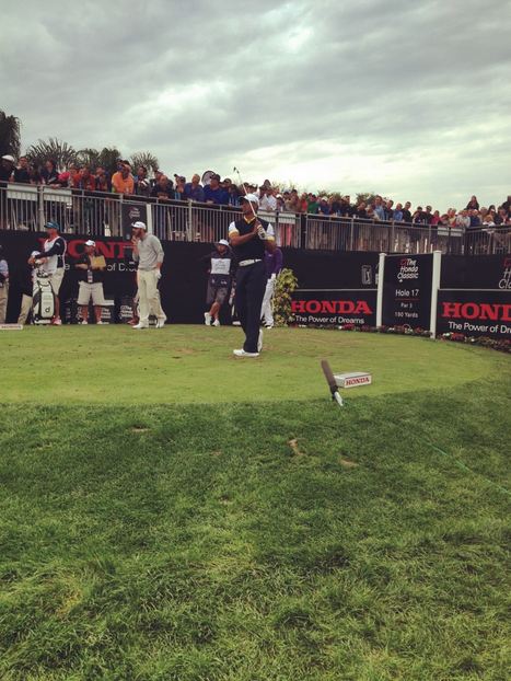 Serena Williams' photograph of Tiger Woods on the 17th tee. (Photo - Serena Williams)