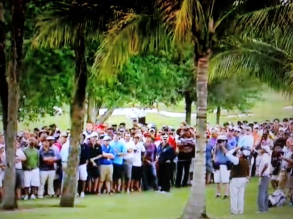 A rules official (bottom right of picture) uses binoculars to identify Tiger Woods ball.  (Photo - NBC TV)