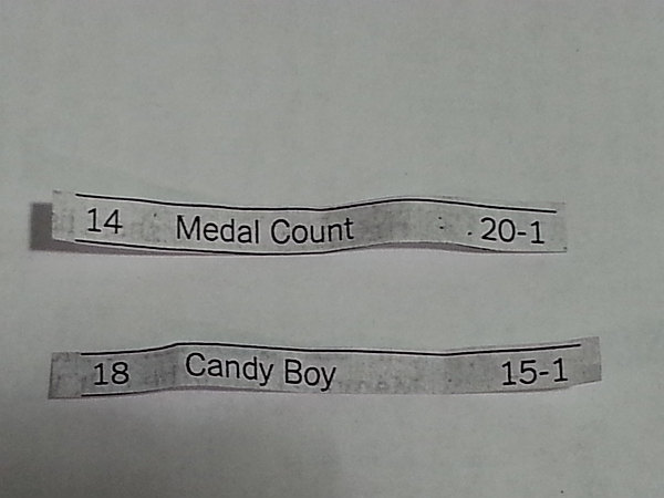 Our Kentucky Derby horses.