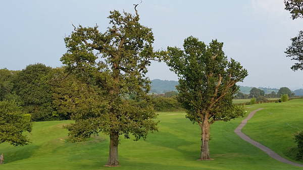 The eighth hole tee shots presents its own challenge.