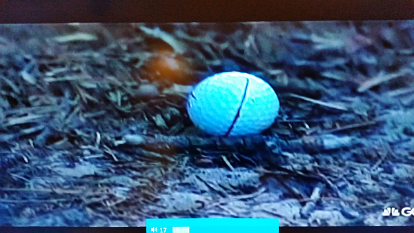 A twig rests right up against Rory McIlroy's ball at the 10th hole.