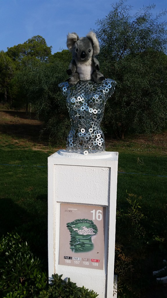 Bernie's Koala head cover finds a nice resting place atop of 'washer' bust on 16th tee.
