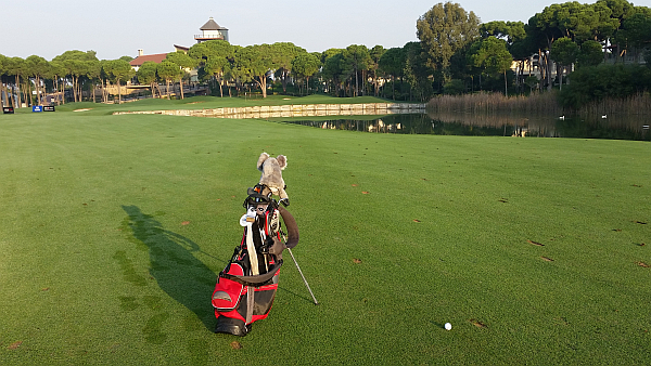 Second shot about to clear the water and walk off with a par 4 at the ninth hole.