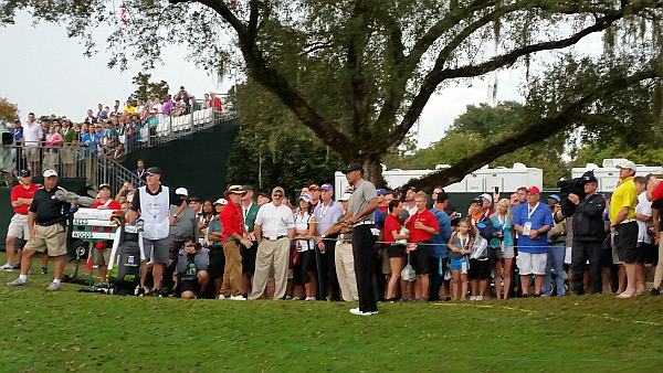 Tiger Woods makes a mess down the last on day two of the 2014 Hero World Challenge. (Photo - www.golfbytourmiss.com)