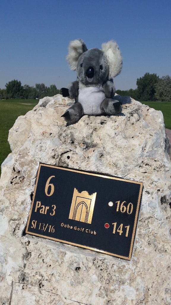 Doha GC Academy course - Bernie's Koala head cover on 6th tee marker.