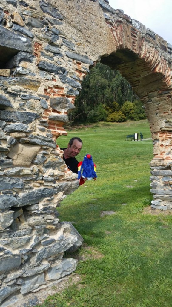 Dave nails a parrot!