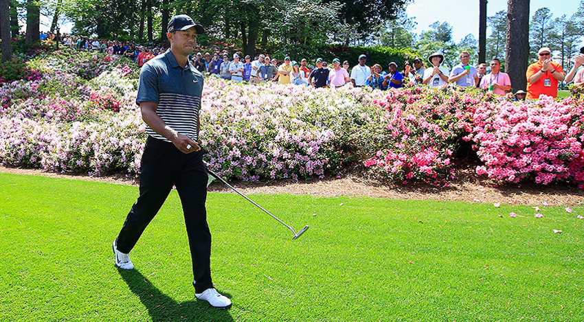 Tiger Woods striding to a round of 68 and an incredible share of fifth place on day three of the Masters. (Photo - www.pgatour.com)
