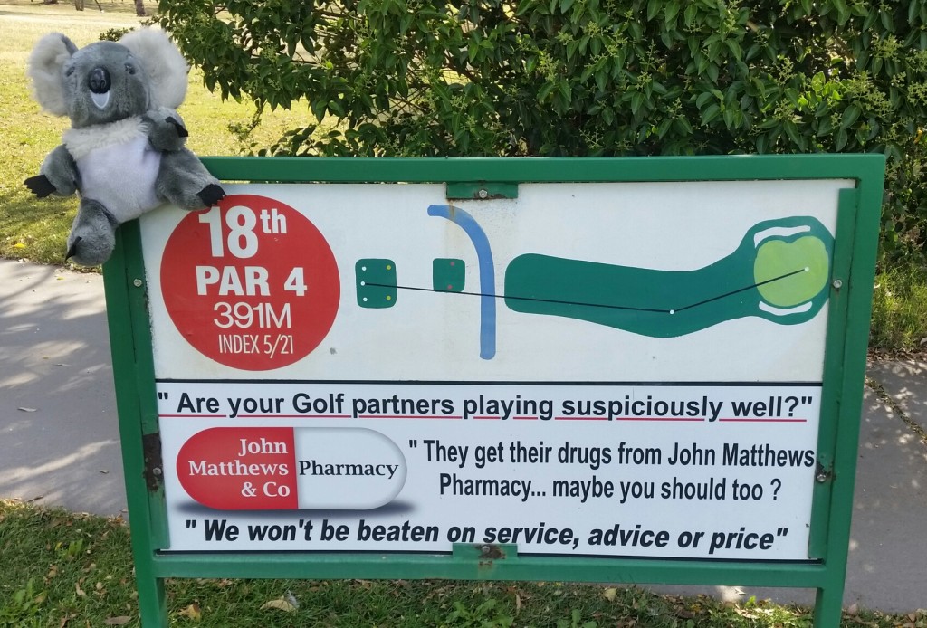 Bernie's Koala headcover again gets in the act!