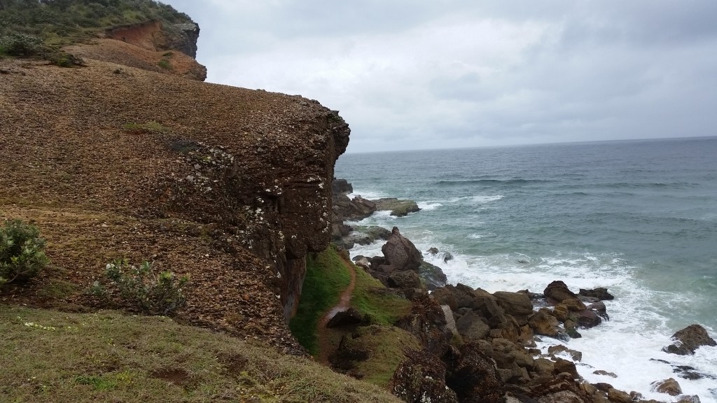 Northern headland at Grants Beach.