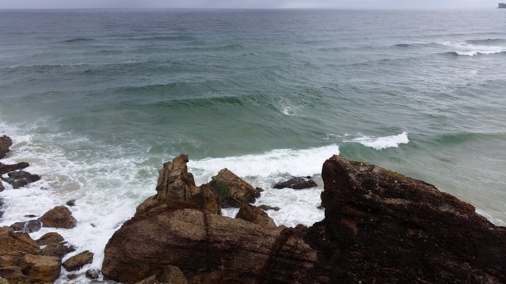 View from the northern headland at Grants Beach.