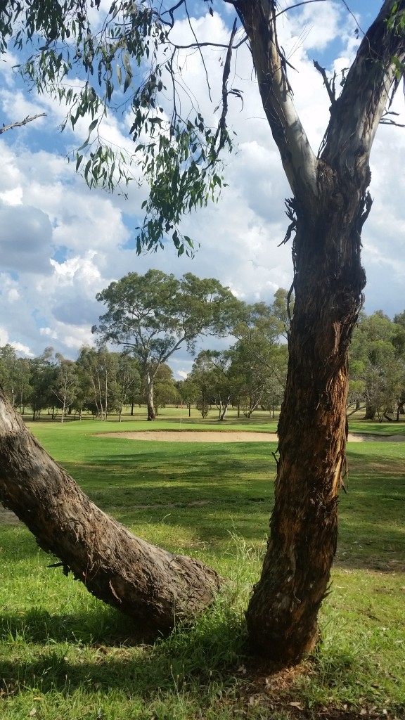 A view of the 13th green at Bathrust GC