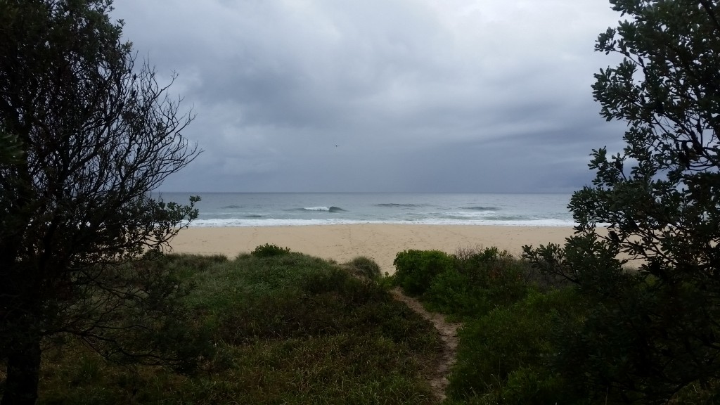 The path leads to one of the best discovers on my recent return over the Christmas period to Australia.