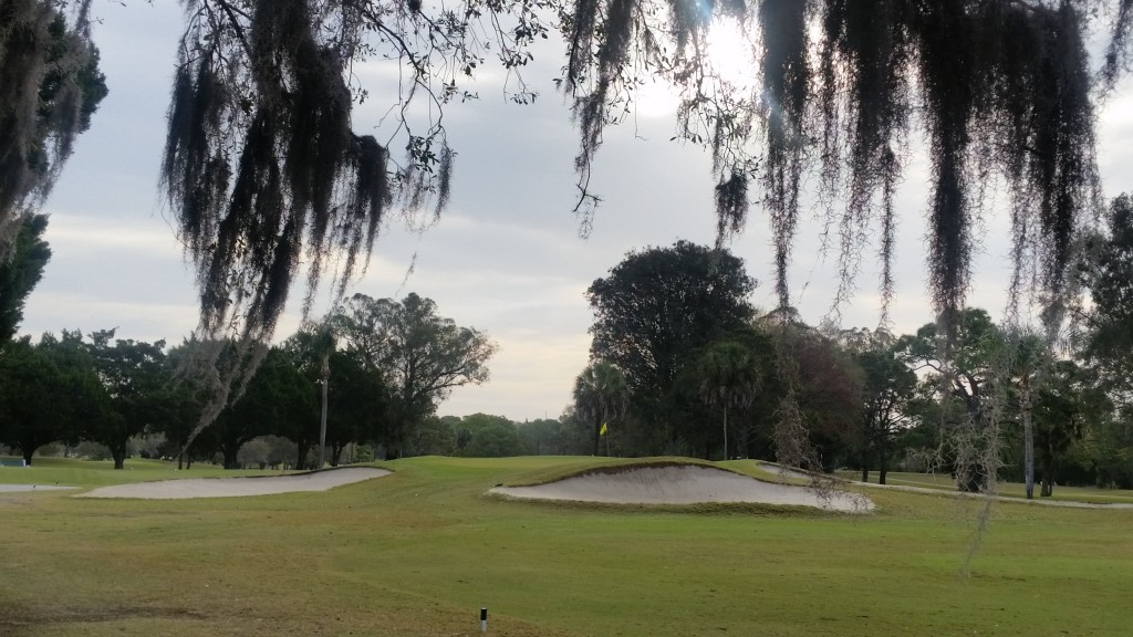 Dunedin GC, Dunedin Florida (70)