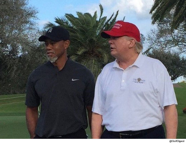 Tiger Woods still sporting his McDaddy Christmas 'goatee' playing golf alongside President-elect Donald Trump.